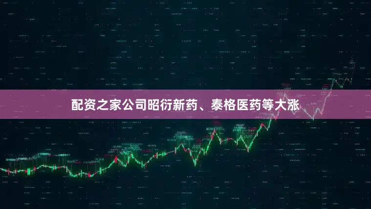 配资之家公司昭衍新药、泰格医药等大涨
