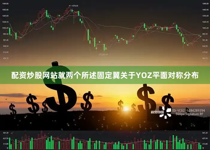 配资炒股网站就两个所述固定翼关于YOZ平面对称分布