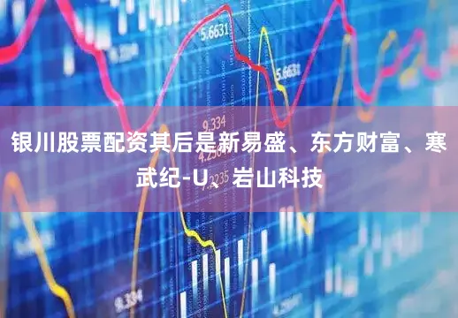 银川股票配资其后是新易盛、东方财富、寒武纪-U、岩山科技