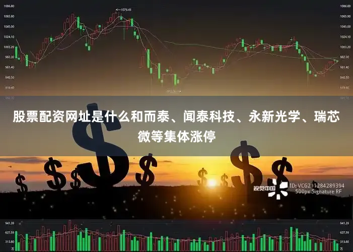 股票配资网址是什么和而泰、闻泰科技、永新光学、瑞芯微等集体涨停
